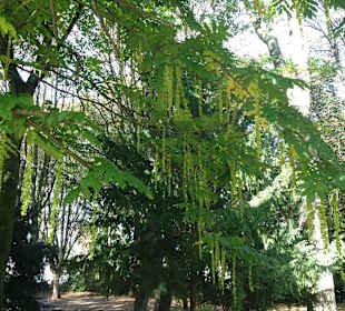 Nahegelegener Farwick-Park