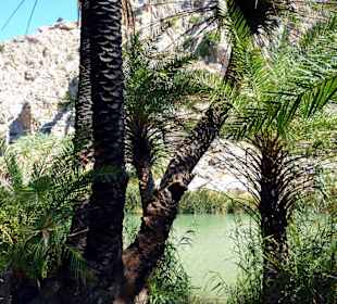 Palmenstrand von Preveli