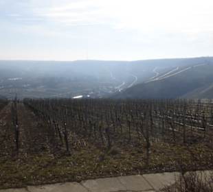 Beim Aussichtspunkt Terroir f bei Volkach