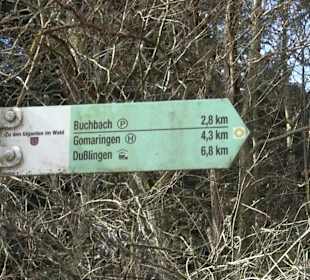 Gomaringer Rundweg - Zu den Giganten im Wald