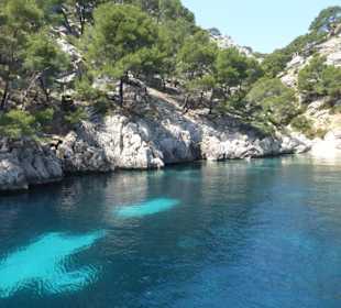 Bootsfahrt mit Delfin Negro zum Cap de Formentor