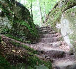 Wanderung durch die Kleine Luxemburger Schweiz