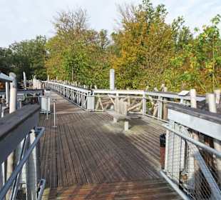 Unterwegs auf dem Baumwipfelpfad Bad Iburg