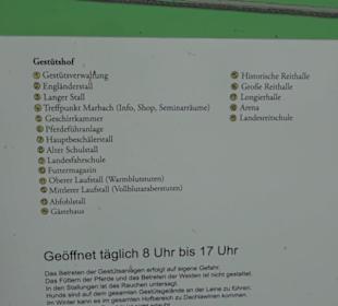 Haupt- und Landgestüt Marbach