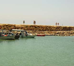 Am Hafen von Evrenseki Ende Mai