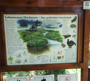 Infotafel am Moorpfad von Tarmstedt