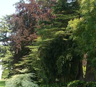 Der berühmte Garten Melzi