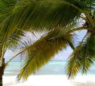 Playa del Gato