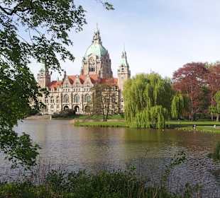 Ausblick aus dem Park