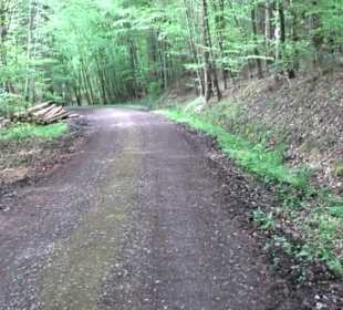 Naturpark Schönbuch