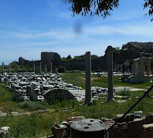 Ausgrabungen in Side