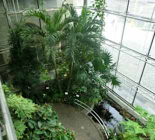 Tropenhaus