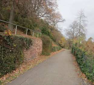 Philosophenweg