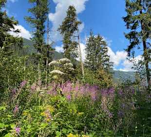 Während Sie nicht nur den Wasserfall bewundern!