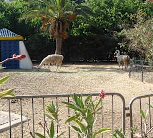 Vogelpark