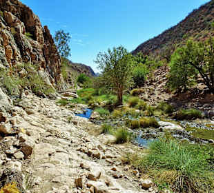 Köcherbaumschlucht