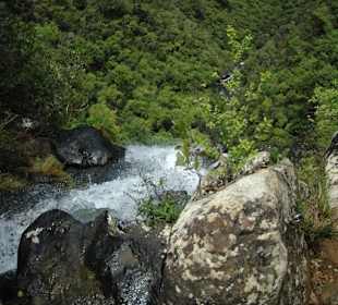 Black River Nationalpark
