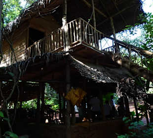 Geführte Touren Your Tour Sri Lanka