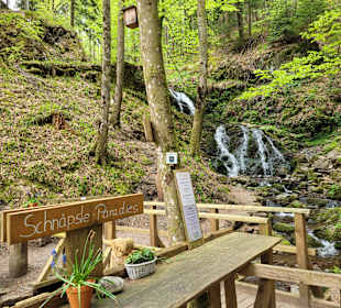 Wandern Bad Peterstal-Griesbach