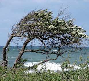 Ostsee