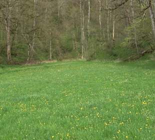 Eiszeitpfad - Burgfelsenpfad