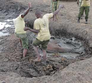 Babyfant-Rettung auf dem Weg nach Galdessa