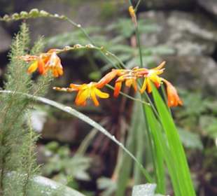 Madeira Lido Osten-Tour 