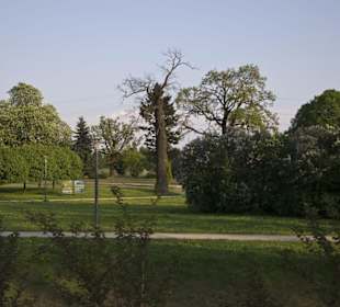 Park Ocalałych