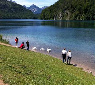 Der Weissensee