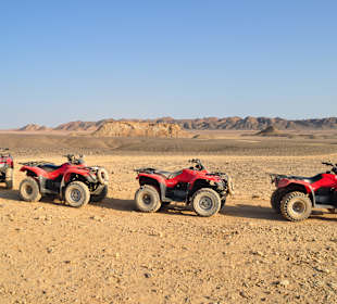 Quadtour Desert