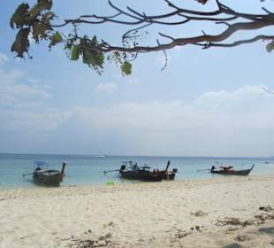 Monkey Beach