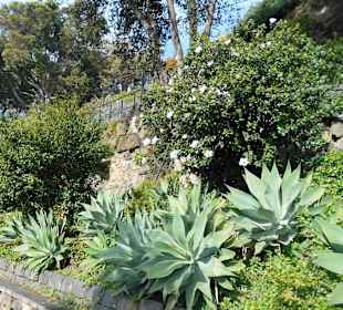 Parque de Santa Catarina