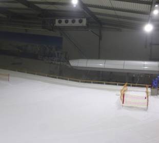 In der Halle