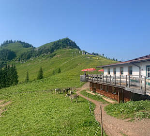 Wandern Nesselwängle