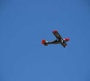 Hafengeburtstag 2008