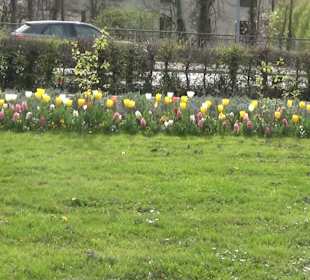 Bürgerpark Offenburg