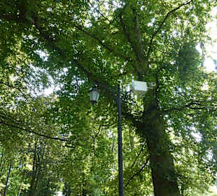 Museum und Park von Jan Kochanowski