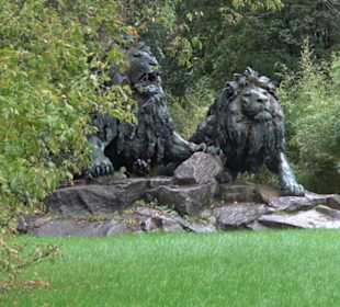 Regenwaldhaus