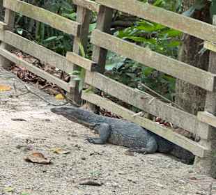 Sungei Buloh Wetland Reserve