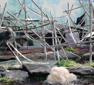 Tierpark Hellabrunn in München