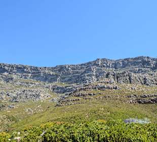 Вид на гору