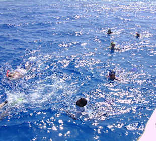 Delfin-Tour