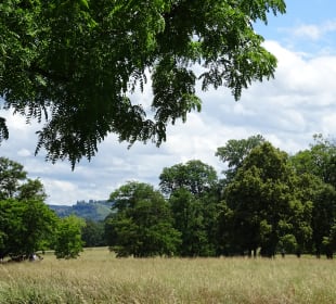 Rosensteinpark