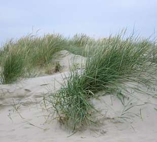 Borkum