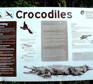 Cape Tribulation