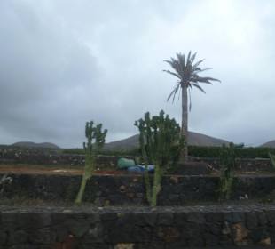 La Geria