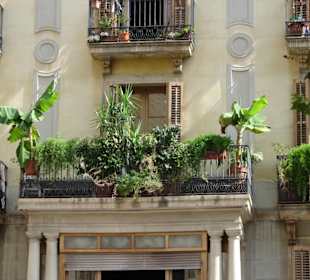 Eindrücke aus dem Barri Gòtic