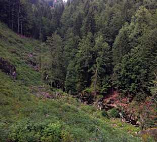 Ausflugsziel - Steinklamm