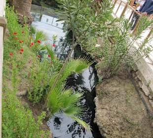 Quelle der Heilquelle