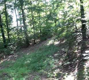 Premiumwanderweg "hochgesprudelt"